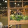 The pictures were taken before the Flower Show was opened for public viewing.